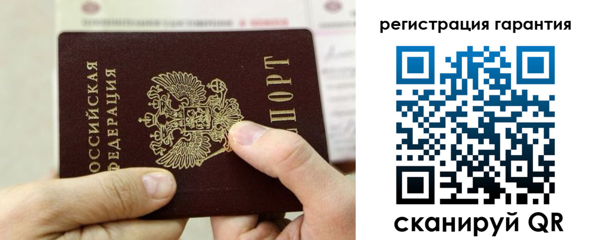 где прописаться в Кингисеппе