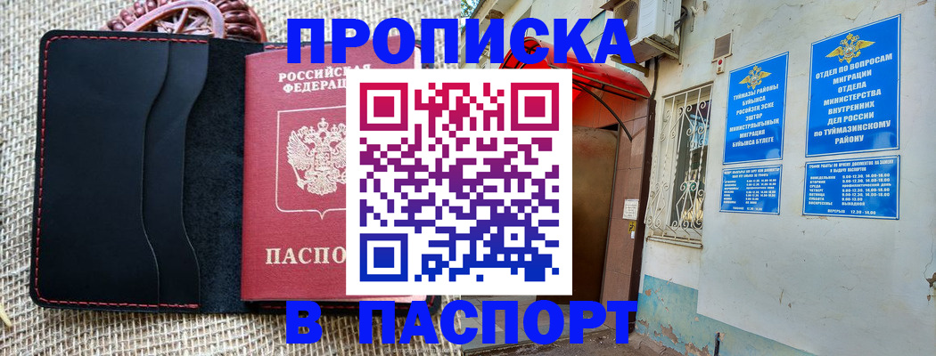 временная регистрация в Кингисеппе